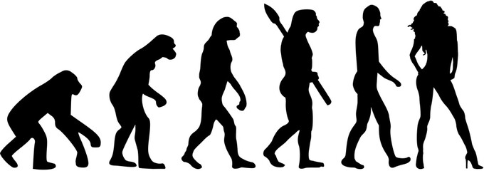 Model evolution