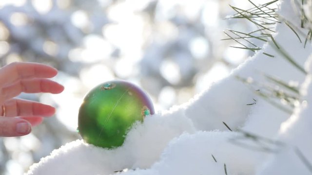 Beautiful tree covered with snow, close-up view, in the frosty winter, the Christmas forest