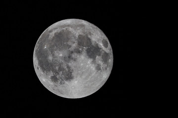 Obraz premium Full Moon