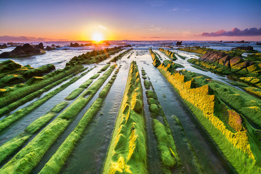 seaweed to infinite at barrika beach, Spain