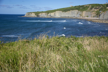 Asturian landscape 50