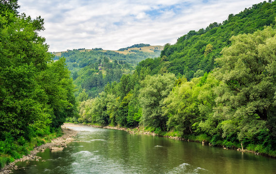 River among the forest in picturesque Carpathian mountains in summer