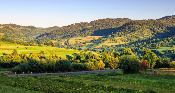 agricultural fields on hills sunrise