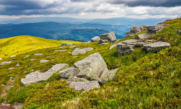 meadow with boulders in Carpathian mountains in summer
