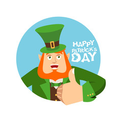 Happy St.Patrick 's Day. Leprechaun winks. Dwarf with red beard thumbs up. Irish elf emotions. Holiday in Ireland