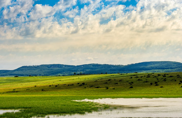 Fototapeta na wymiar lake in rural area on a summer day