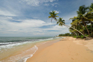 Beach of the Indian ocean
