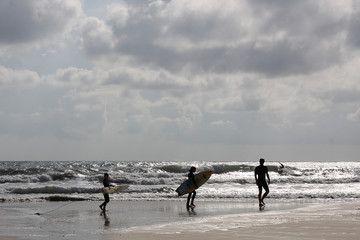 the family of surfers