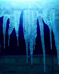 Beautiful icicles photographed