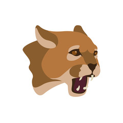 cougar head vector illustration style Flat