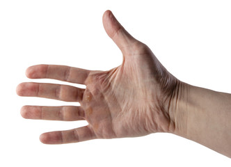 Palm. Man hand Isolated on white background with clipping path.