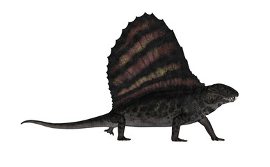 Fototapeta na wymiar Dimetrodon dinosaur - 3D render