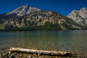 Fototapeta na wymiar Rocky Mountain Lake at the base of the Grand Tetons