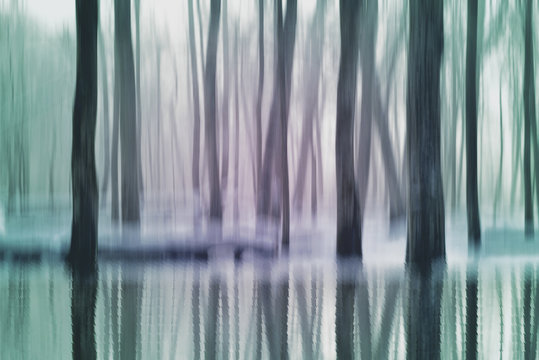 Fototapeta Abstract fantasy forest, spring river, nature background