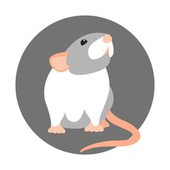 rat vector illustration style Flat 