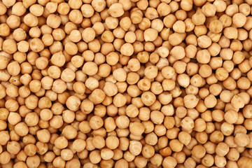 Dried chickpea beans close up background