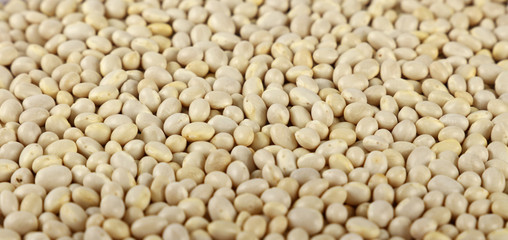 White frigole kidney beans close up background