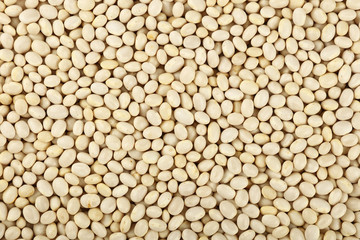 White frigole kidney beans close up background