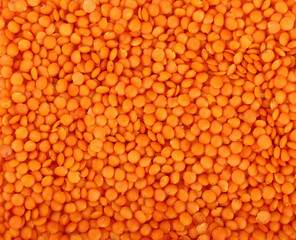 Orange lentil lens close up background