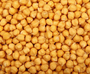 Cooked soaked chickpea beans close up background