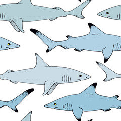 Seamless pattern with vector shark hand drawn illustration with wild sea animal. Sea life sketch with predator dangerous fish - 138379677