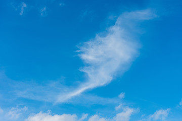 Fototapeta na wymiar Beautiful cirrus clouds against the blue sky