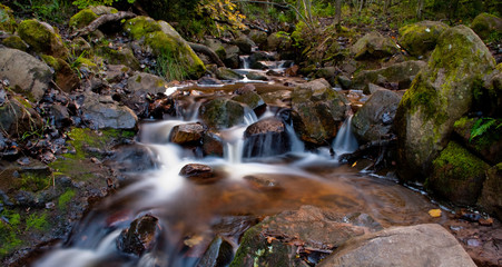 Fototapeta na wymiar Forest Waterfall in mountain
