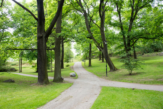 L&aring;ngholmen &auml;r som en stor park med sina stora h&auml;rliga ekar, amfiteater och natursk&ouml;na stigar runt hela &ouml;n (1 av 35)