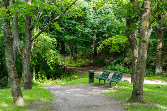 L&aring;ngholmen &auml;r som en stor park med sina stora h&auml;rliga ekar, amfiteater och natursk&ouml;na stigar runt hela &ouml;n (11 av 35)