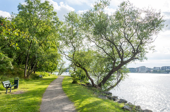 L&aring;ngholmen &auml;r som en stor park med sina stora h&auml;rliga ekar, amfiteater och natursk&ouml;na stigar runt hela &ouml;n (27 av 35)
