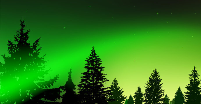 Silhouette of coniferous trees on the background of colorful sky.  Night. Northern lights. Green and yellow tones.