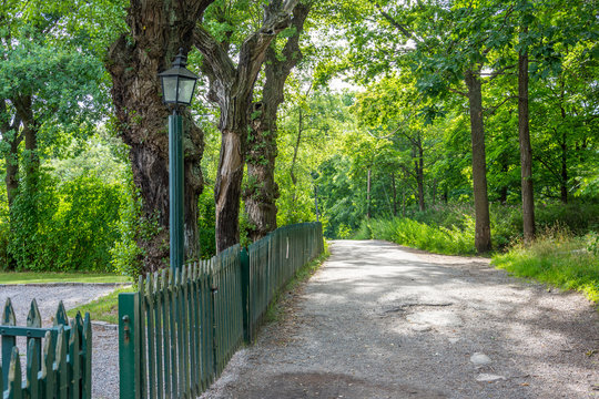 L&aring;ngholmen &auml;r som en stor park med sina stora h&auml;rliga ekar, amfiteater och natursk&ouml;na stigar runt hela &ouml;n (18 av 35)