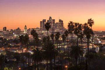 Fototapeten Beautiful sunset of Los Angeles downtown skyline and palm trees in foreground © chones