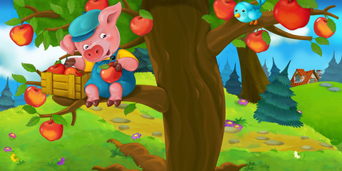cartoon scene with pig on the tree plucking apples to the crate