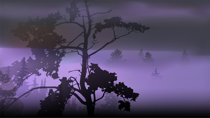 Panorama of mountains and pine forest. A large tree in the foreground. Lights of sunset. Thick fog. Violet tones.