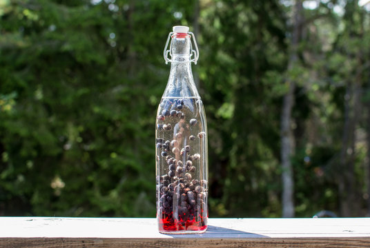 Nyss satt bl&aring;b&auml;rs vin som inte hunnit f&auml;rjas m&ouml;rkbl&aring;tt &auml;nnu 1/10