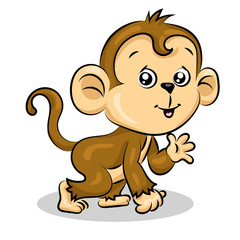 crazy funny cute young little monkey isolated