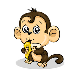 crazy funny cute young little monkey with banana