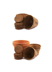 Degradable coconut pot isolated