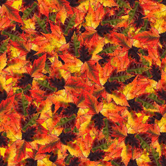 Naklejka na ściany i meble seamless background with multicolored maple leaves