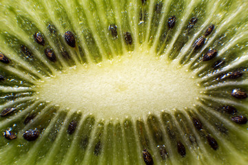 fresh kiwi in the context of macro