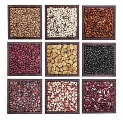 Multicolored beans in bowl