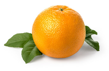 Orange fruit isolated