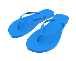 Flip Flops Isolated