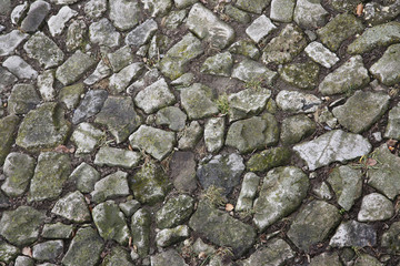 Cobblestone road erratic pattern in various shades of gray and green.