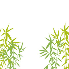 Bamboo green plant isolated vector nature illustration