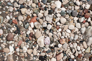 Sea stone close up.