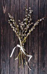 willow branch on wood background