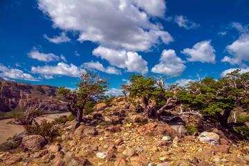 Amazing landscape of the patagonian mountains with trees and beautiful cloudy sky.