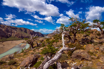 Beautiful landscape of river valley in El Chalten with amazing sky and some plants in front. Selective focus.